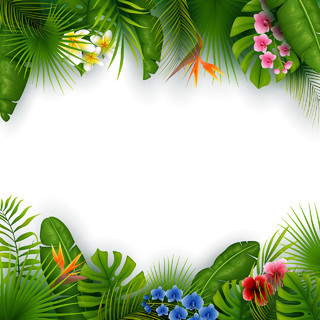 夏天手绘植物丛林热带花朵边框装饰PNG